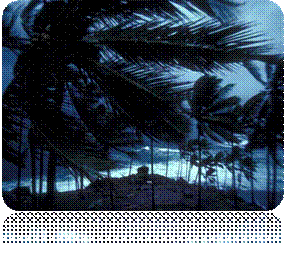 wind_1295_600x450.jpg